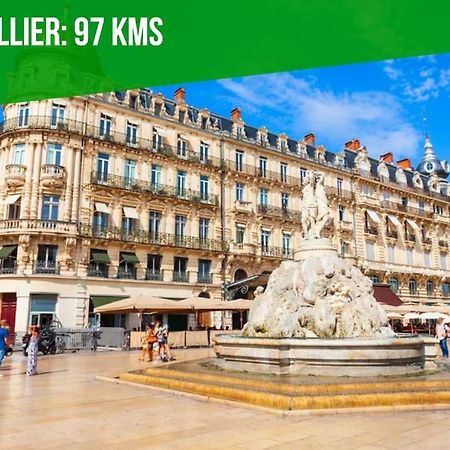 L'Olivier - 2 Terrasses - Clim Ac - Wifi - Proche Theatres Διαμέρισμα Αβινιόν Εξωτερικό φωτογραφία