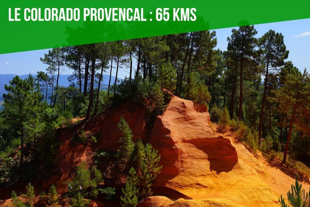 L'Olivier - 2 Terrasses - Clim Ac - Wifi - Proche Theatres Διαμέρισμα Αβινιόν Εξωτερικό φωτογραφία